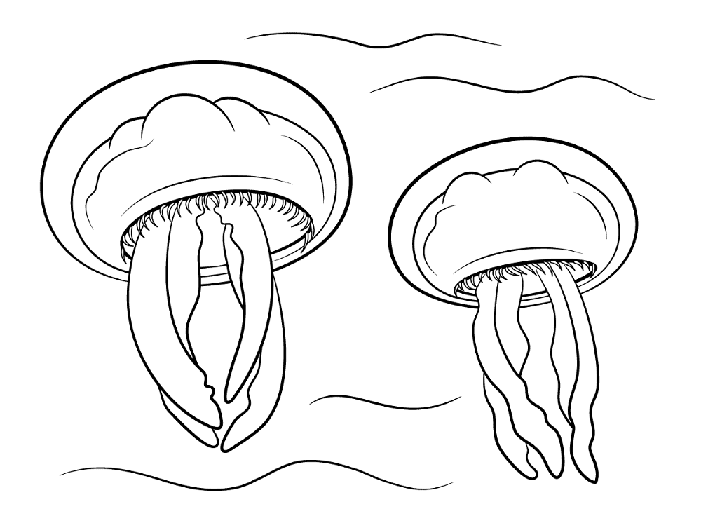 Moon Jellyfishes Coloring Pages Md Coloring Page — Free Printable — free printable coloring page