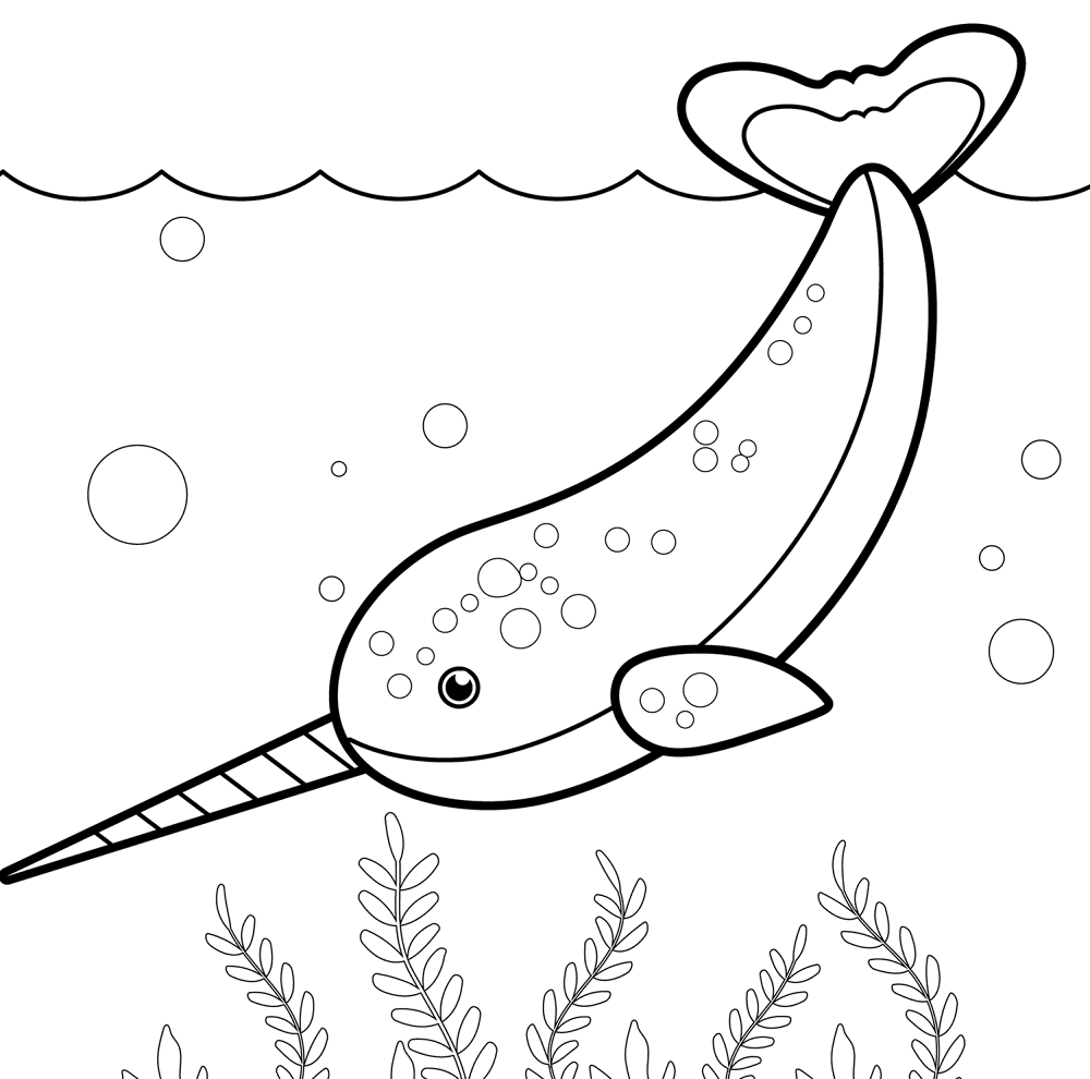 Narwal 2 Coloring Page Md Coloring Page — Free Printable — free printable coloring page