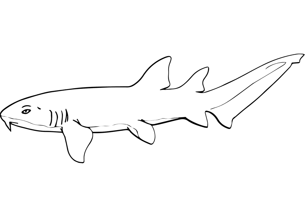 Nurse Shark Coloring Page Md Coloring Page — Free Printable — free printable coloring page