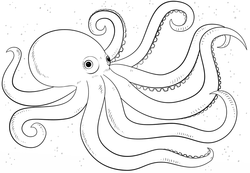 Octopus Coloring Page Md Coloring Page — Free Printable — free printable coloring page