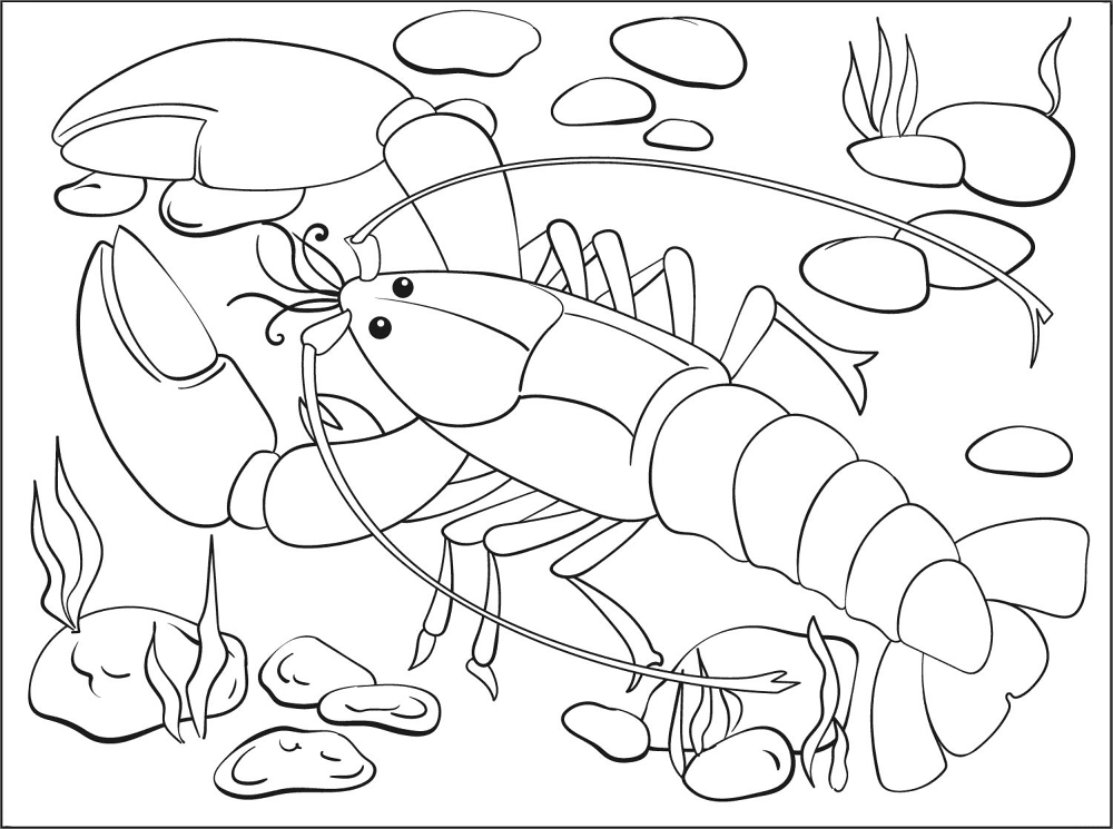Omar Coloring Page Md Coloring Page — Free Printable — free printable coloring page