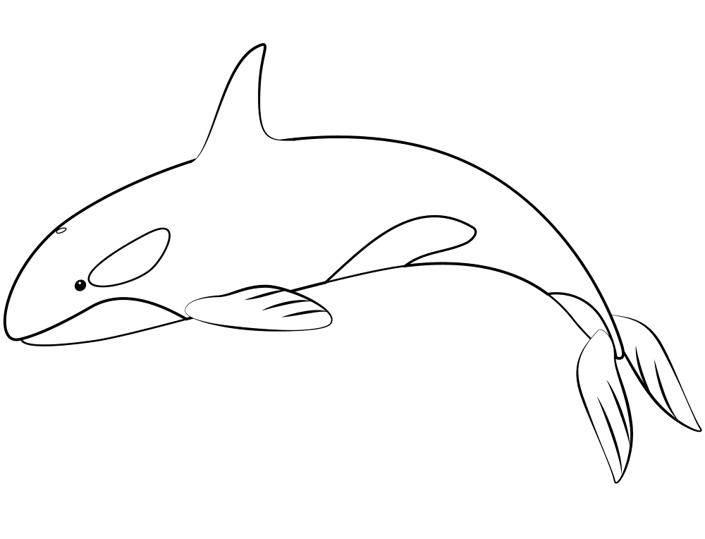 Orca Whale Coloring Page Md Coloring Page — Free Printable — free printable coloring page