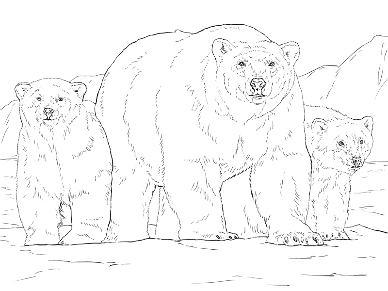 Polar Bear With Two Cubs Coloring Page Md Coloring Page — Free Printable — free printable coloring page