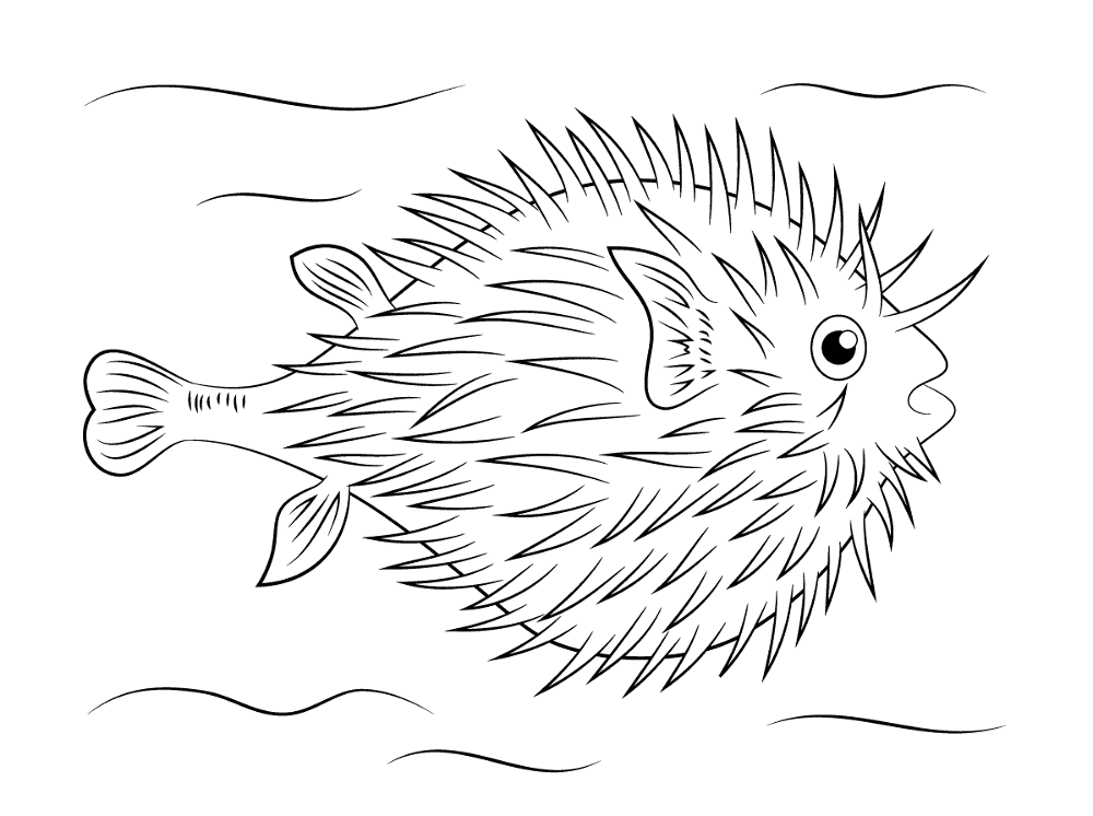 Puffer Fish Coloring Pages Md Coloring Page — Free Printable — free printable coloring page