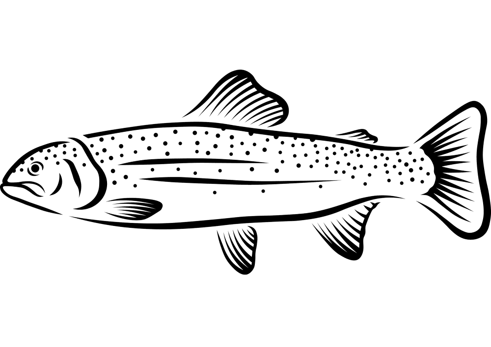 Rainbow Trout Coloring Page Md Coloring Page — Free Printable — free printable coloring page
