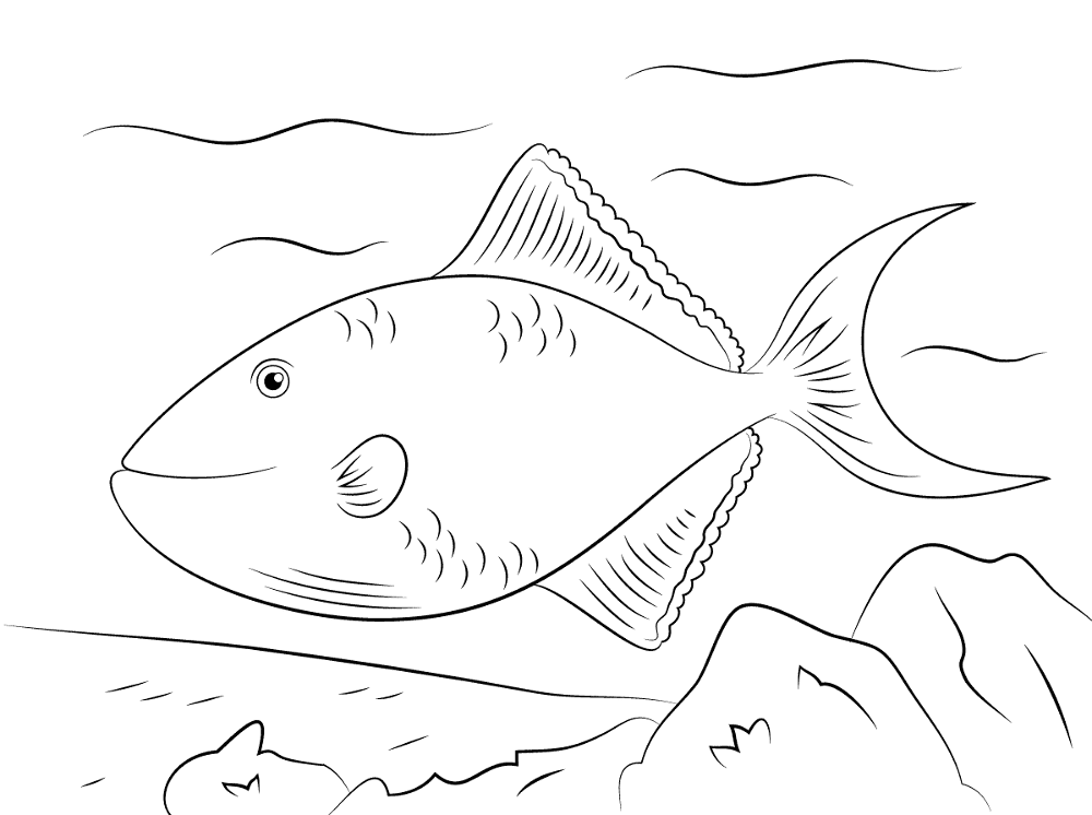 Redtoothed Triggerfish Coloring Pages Md Coloring Page — Free Printable — free printable coloring page