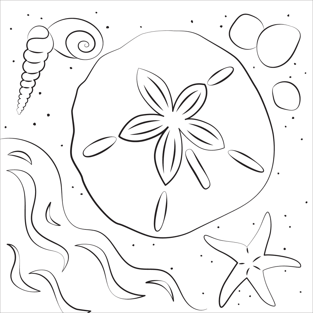 Sand Dollar Coloring Page Md Coloring Page — Free Printable — free printable coloring page