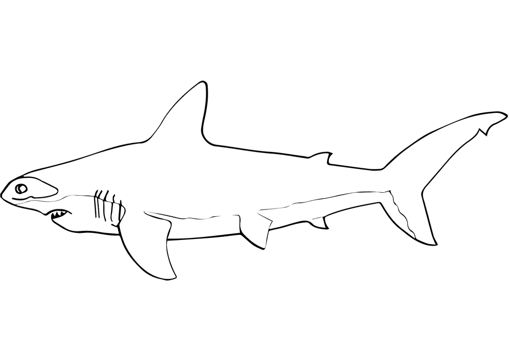 Scalloped Hammerhead Coloring Page Md Coloring Page — Free Printable — free printable coloring page