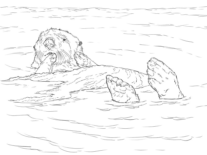 Sea Otter Floating Coloring Page Md Coloring Page — Free Printable — free printable coloring page