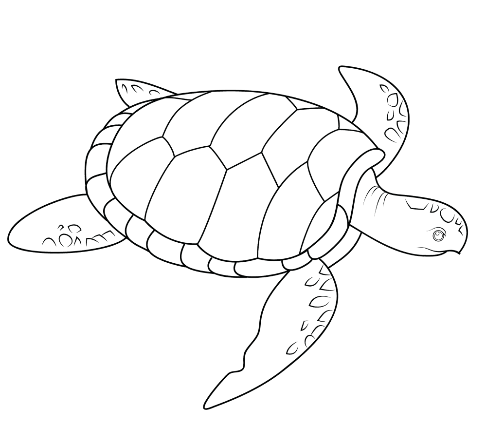 Sea Turtle Coloring Page Md Coloring Page — Free Printable — free printable coloring page