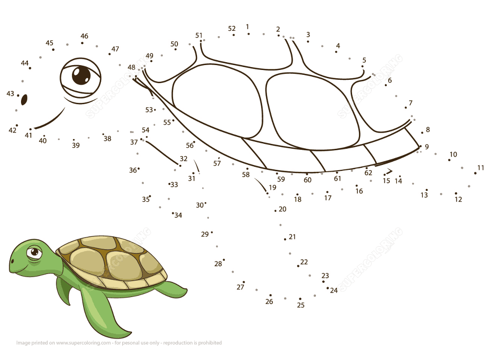 Sea Turtle Dot To Dot Md Coloring Page — Free Printable — free printable coloring page
