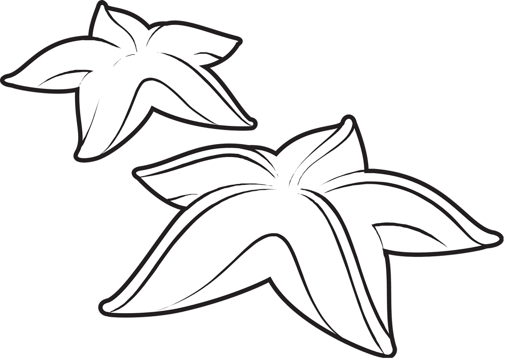 Starfish 01 Coloring Page Md Coloring Page — Free Printable — free printable coloring page