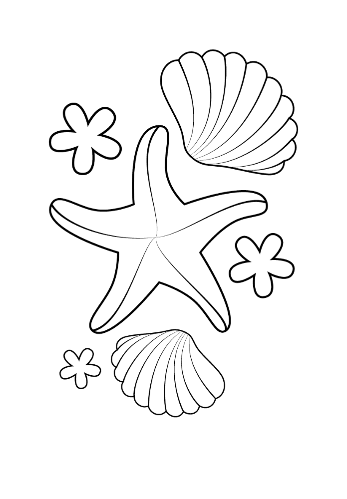 Starfish And Shells Coloring Page Md Coloring Page — Free Printable — free printable coloring page
