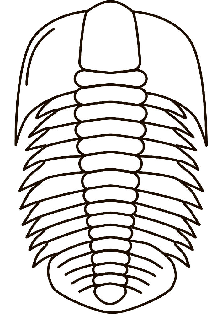 Trilobite Fossil Coloring Page Md Coloring Page — Free Printable — free printable coloring page