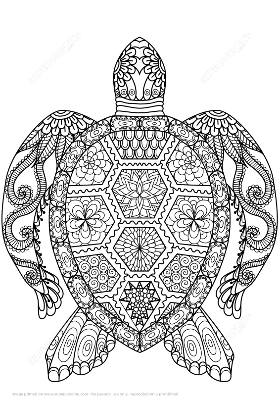 Turtle Zentangle Coloring Page Md Coloring Page — Free Printable — free printable coloring page