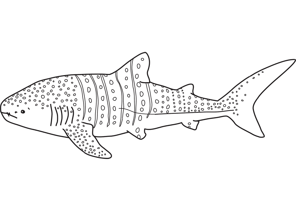 Whale Shark Coloring Page Md Coloring Page — Free Printable — free printable coloring page