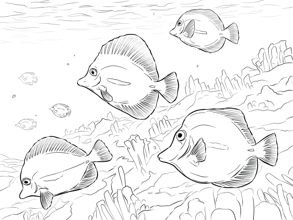 Yellow Tangs Md Coloring Page — Free Printable — free printable coloring page