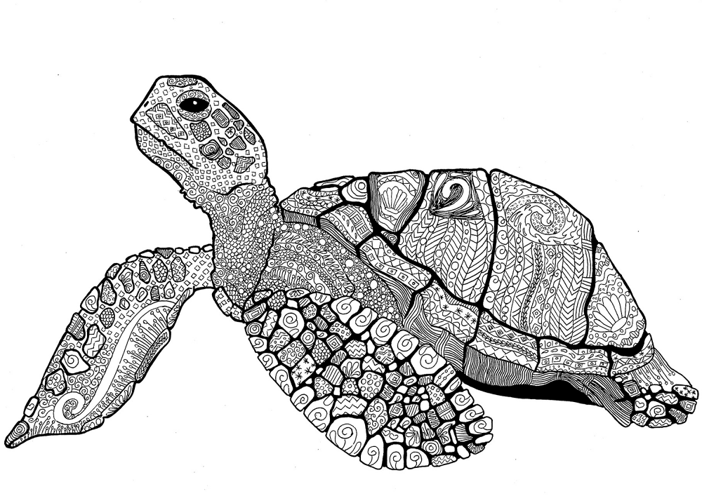 Zentangle Turtle Coloring Page Md Coloring Page — Free Printable — free printable coloring page