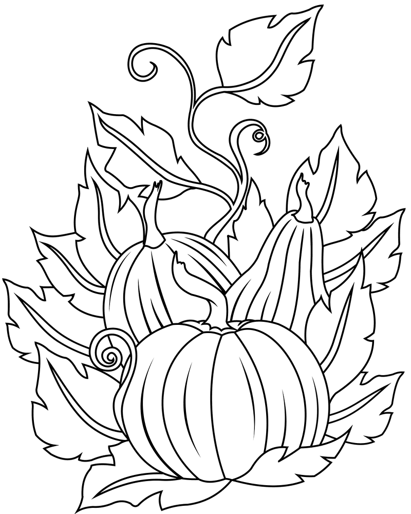 Pumpkins Coloring Page Md Coloring Page — Free Printable — free printable coloring page