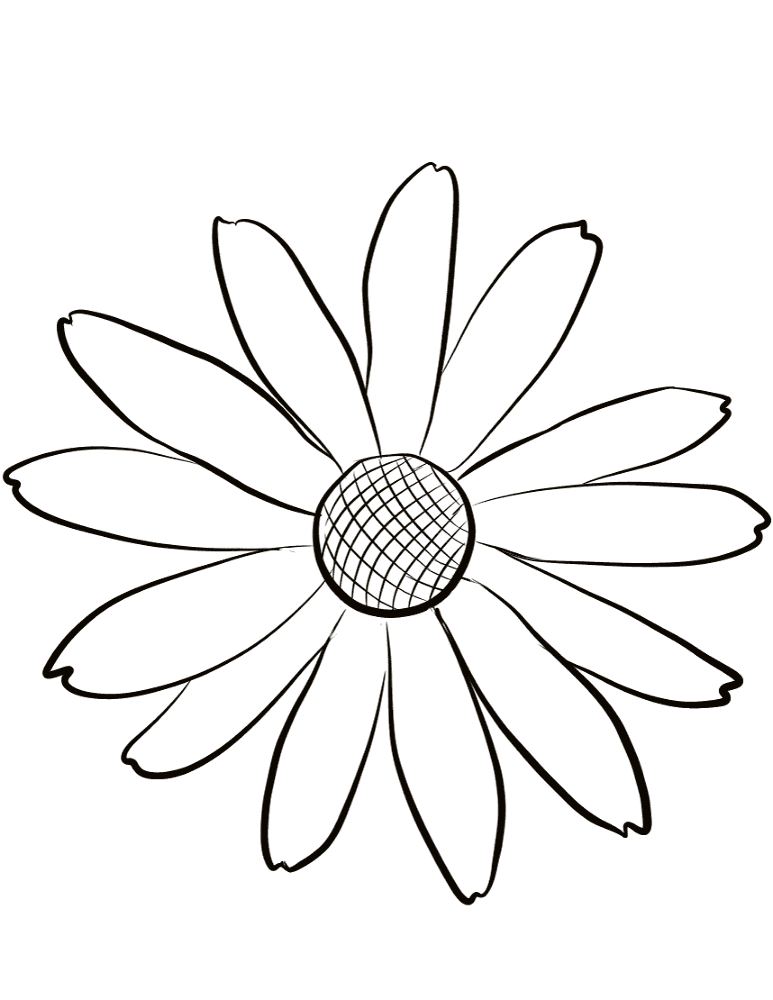 Black Eyed Susan Coloring Page Md Coloring Page — Free Printable — free printable coloring page