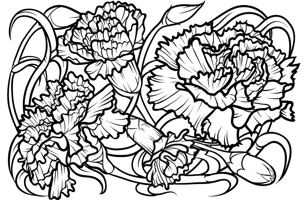 Carnation Coloring Page Md Coloring Page — Free Printable — free printable coloring page