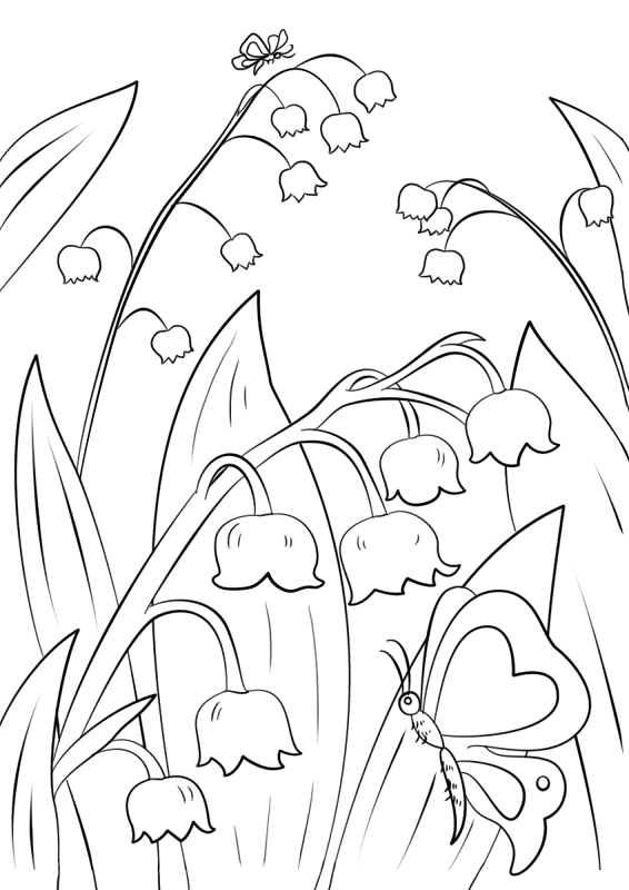Lily Of The Valley Coloring Page Md Coloring Page — Free Printable — free printable coloring page