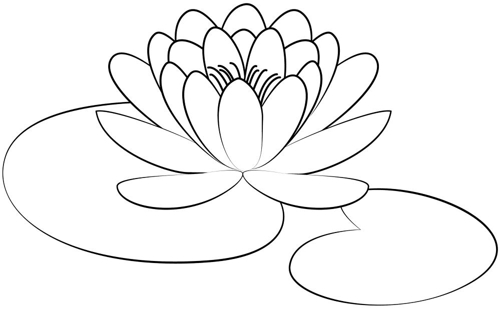Lily Pad Coloring Page Md Coloring Page — Free Printable — free printable coloring page