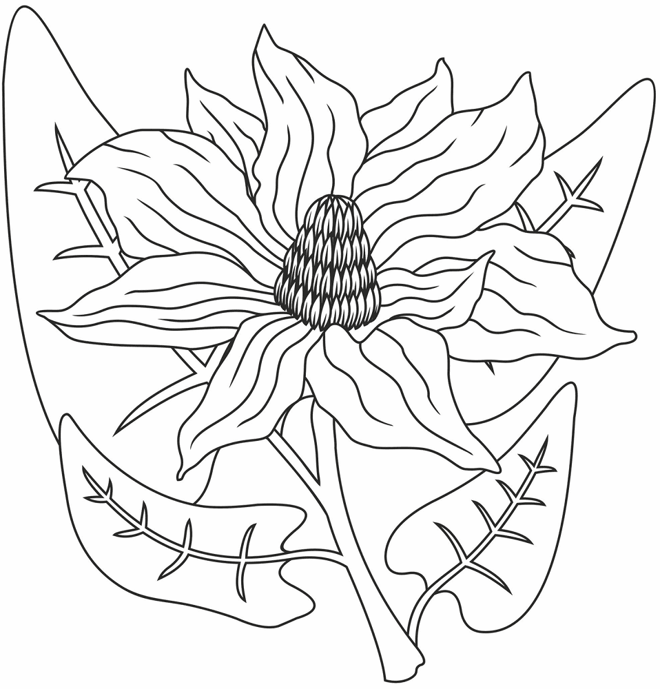 Magnolia Coloring Page Md Coloring Page — Free Printable — free printable coloring page