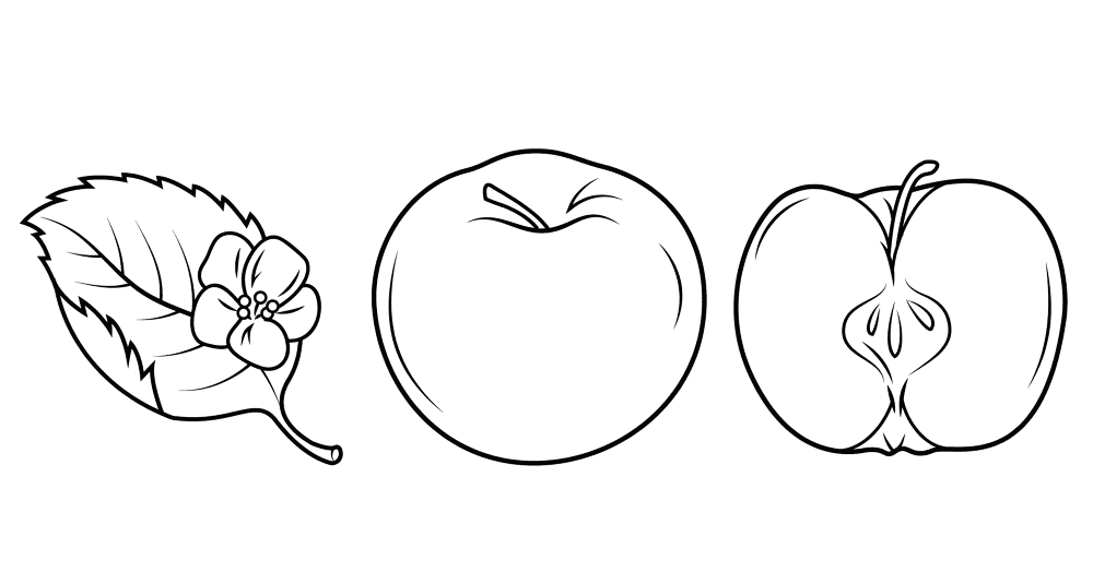Apples 7 Coloring Page Md Coloring Page — Free Printable — free printable coloring page
