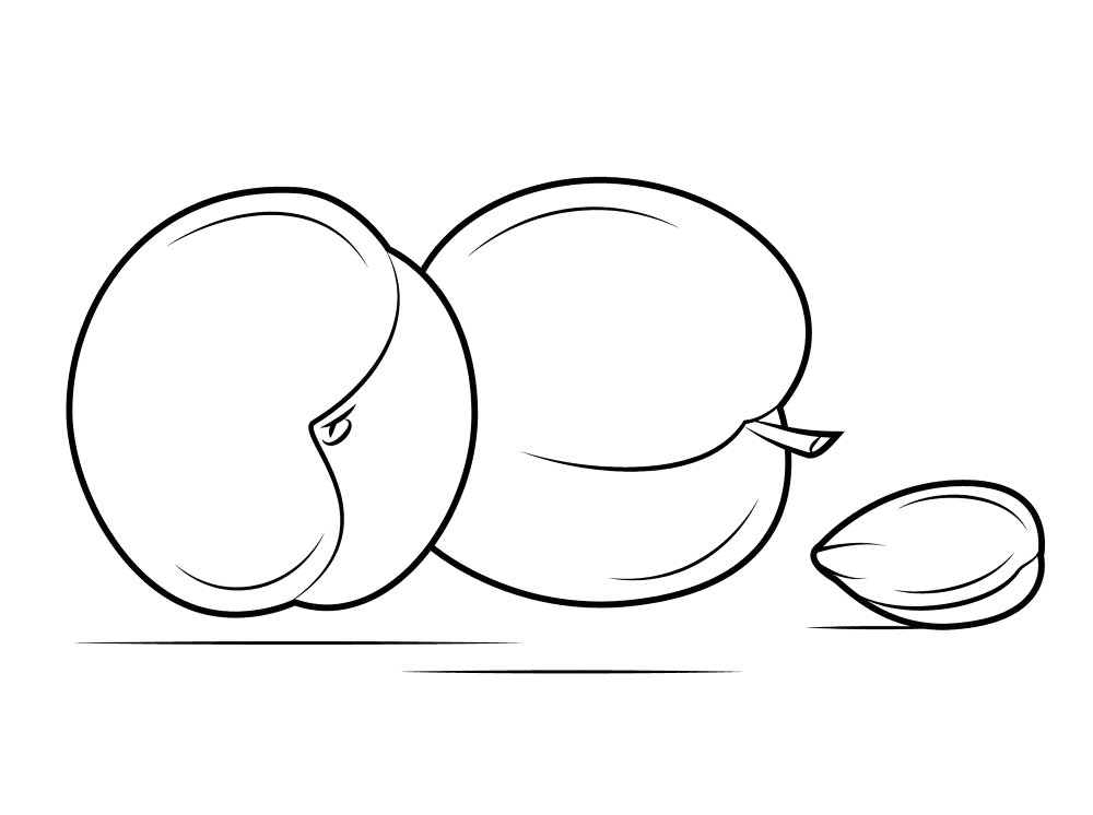 Apricot 2 Coloring Page Md Coloring Page — Free Printable — free printable coloring page