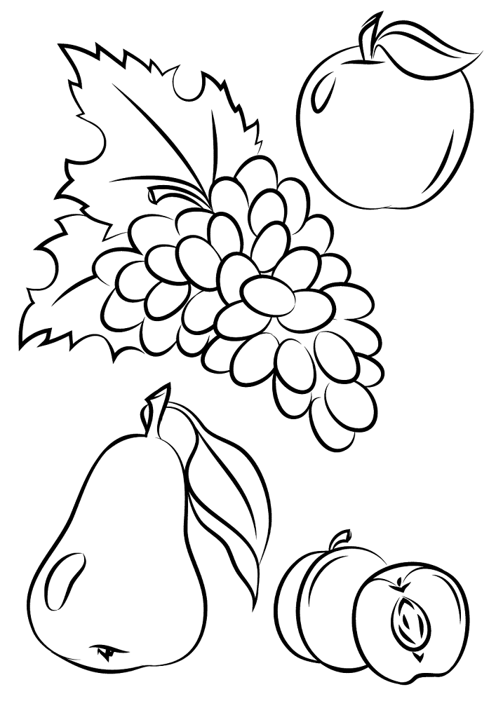 Autumn Fruits Coloring Page Md Coloring Page — Free Printable — free printable coloring page