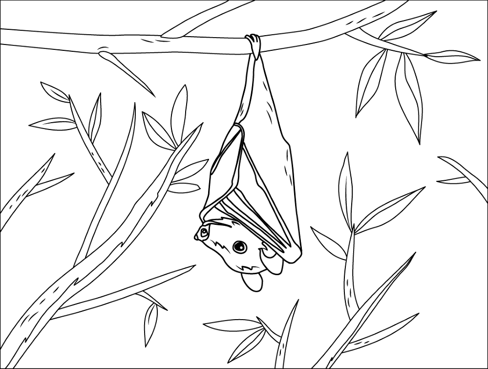Buettikofers Epauletted Fruit Bat Coloring Page Md Coloring Page — Free Printable — free printable coloring page