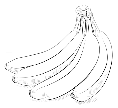 Bunch Of Bannanas Coloring Page Md Coloring Page — Free Printable — free printable coloring page
