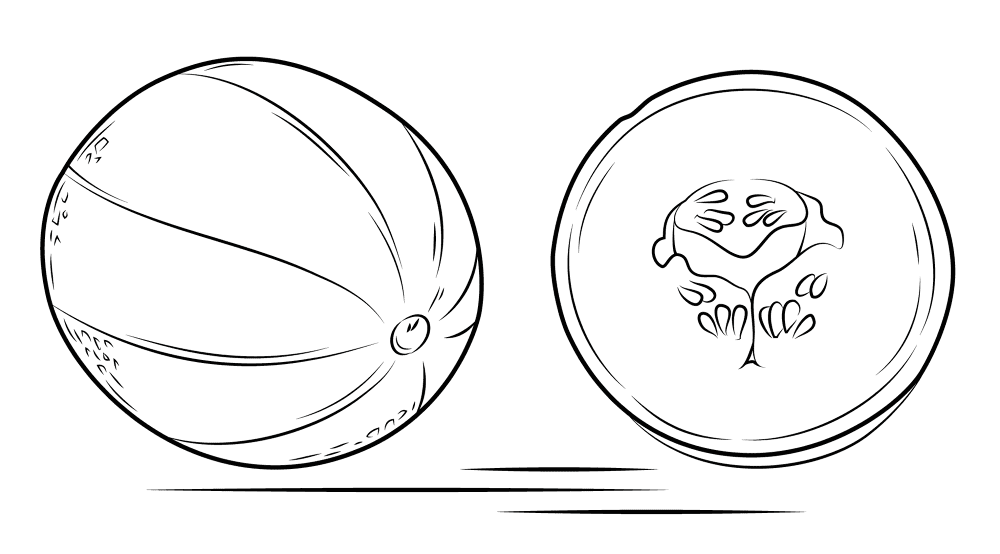 Cantaloupe And Its Cross Section Coloring Page Md Coloring Page — Free Printable — free printable coloring page