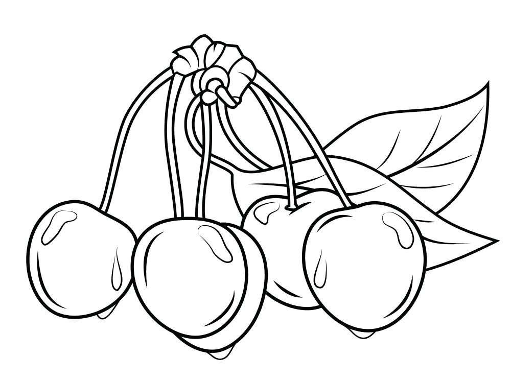 Cherry 2 Coloring Page Md Coloring Page — Free Printable — free printable coloring page