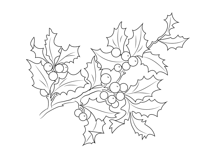 Christmas Holly Berries Md Coloring Page — Free Printable — free printable coloring page