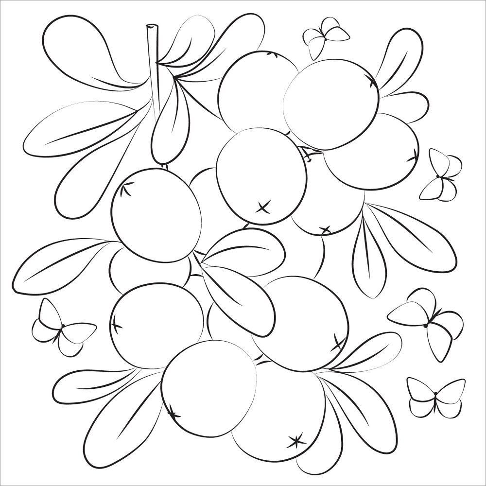 Cranberry Coloring Page Md Coloring Page — Free Printable — free printable coloring page