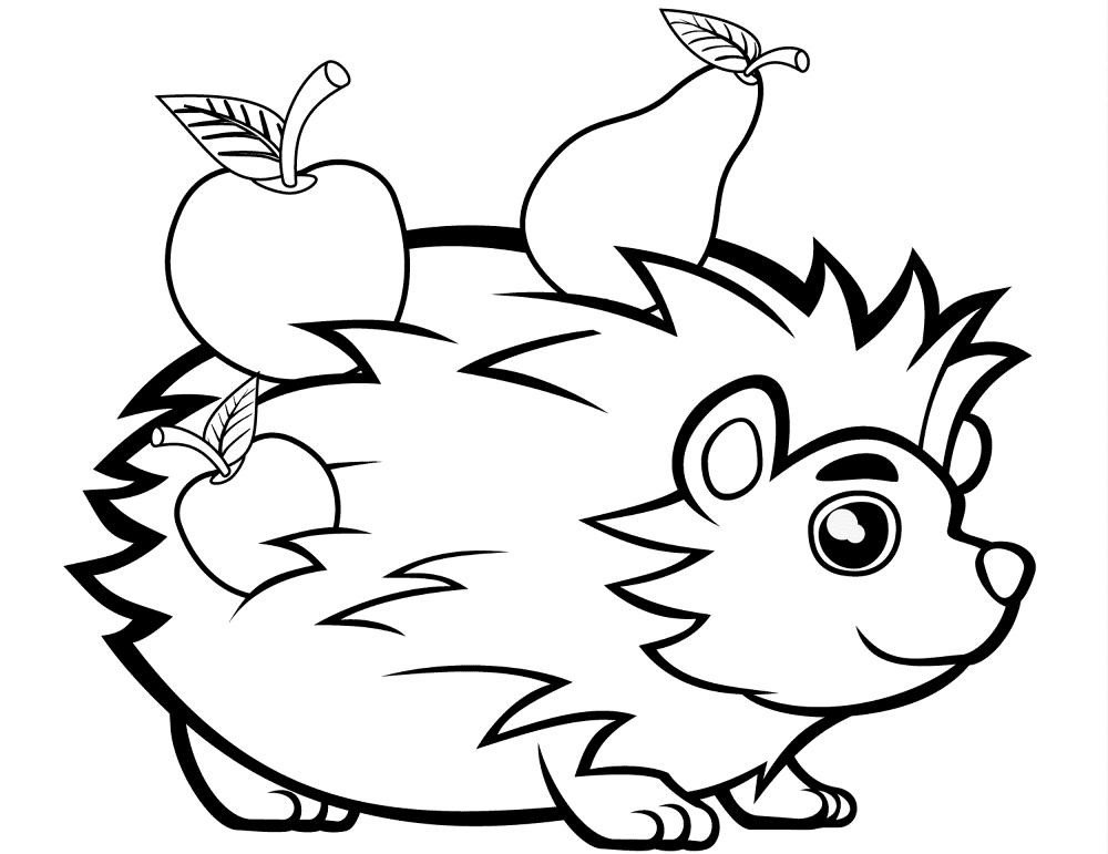 Cute Hedgehog With Fruits Coloring Page Md Coloring Page — Free Printable — free printable coloring page