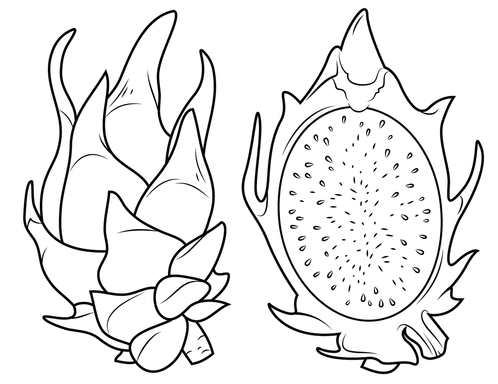 Dragon Fruit Coloring Page Md Coloring Page — Free Printable — free printable coloring page