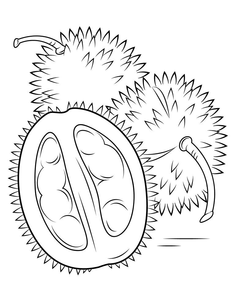 Durian 2 Coloring Page Md Coloring Page — Free Printable — free printable coloring page