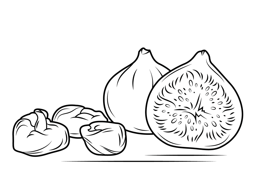Fig 1 Coloring Page Md Coloring Page — Free Printable — free printable coloring page