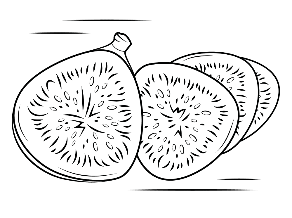 Fig Fruit Coloring Page Md Coloring Page — Free Printable — free printable coloring page