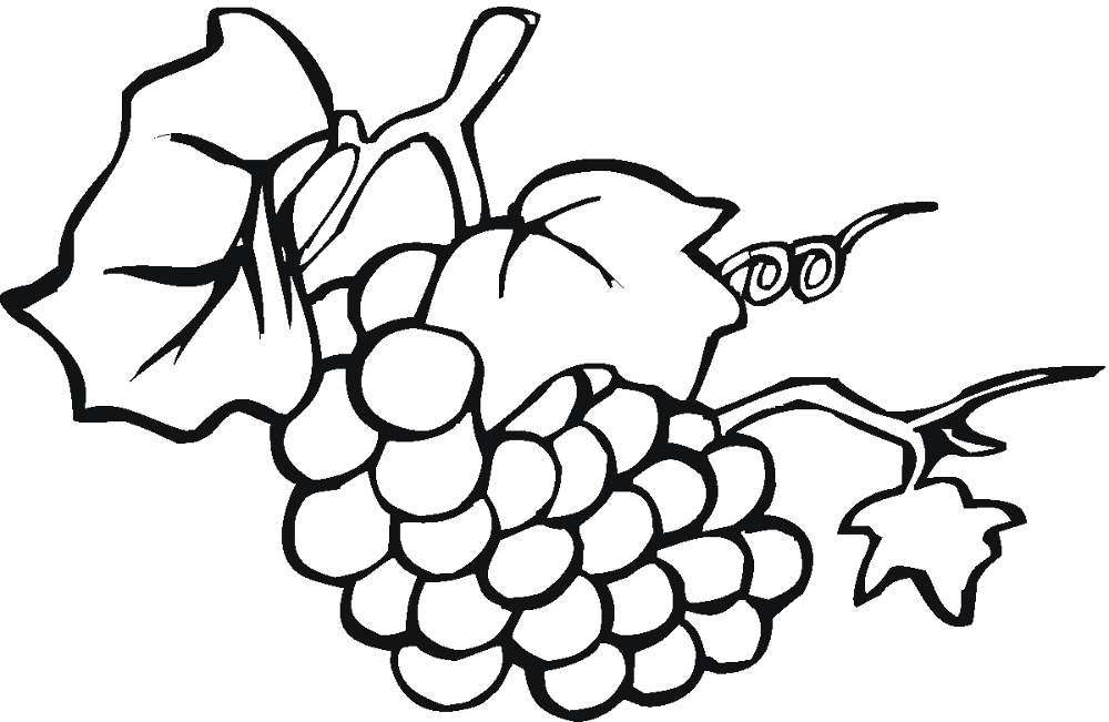 Grape 18 Coloring Page Md Coloring Page — Free Printable — free printable coloring page