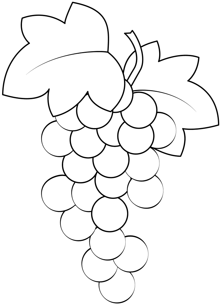 Grape Vine Coloring Page Md Coloring Page — Free Printable — free printable coloring page
