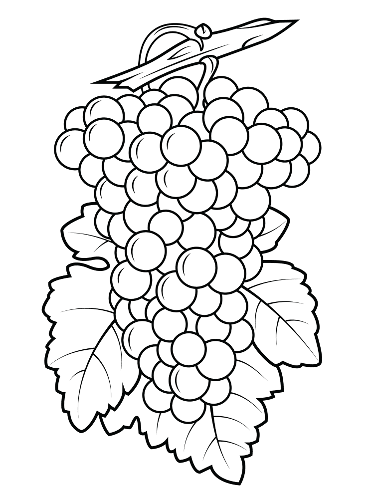Grapes 2 Coloring Page Md Coloring Page — Free Printable — free printable coloring page