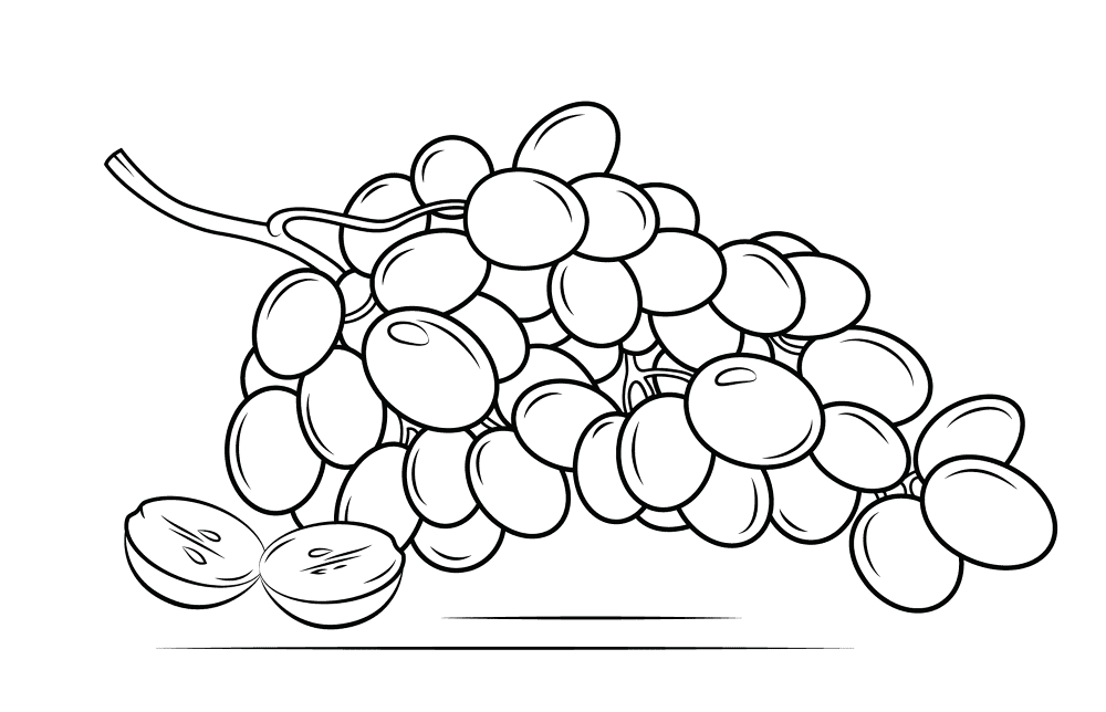 Grapes 4 Coloring Page Md Coloring Page — Free Printable — free printable coloring page