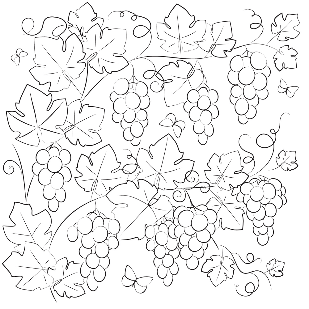 Grapevine Coloring Page Md Coloring Page — Free Printable — free printable coloring page