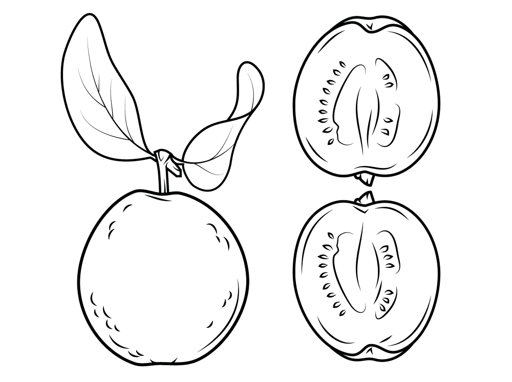 Guava 3 Coloring Page Md Coloring Page — Free Printable — free printable coloring page