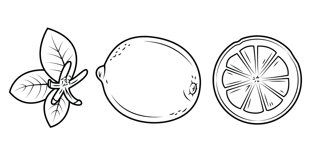 Lemon 5 Coloring Page Md Coloring Page — Free Printable — free printable coloring page