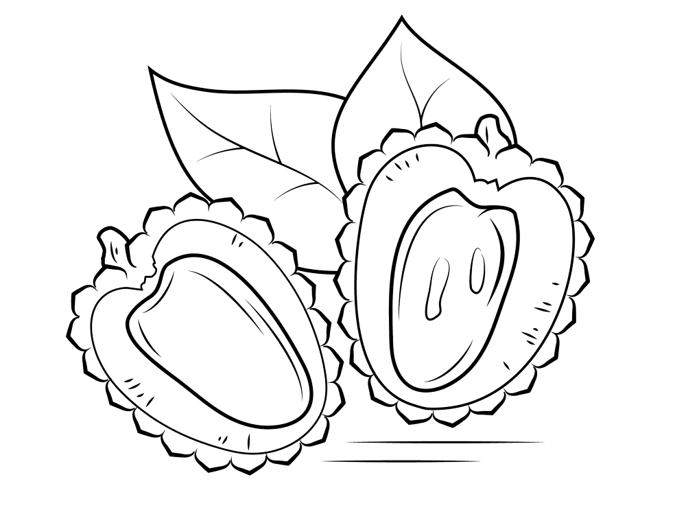 Lychee 2 Coloring Page Md Coloring Page — Free Printable — free printable coloring page